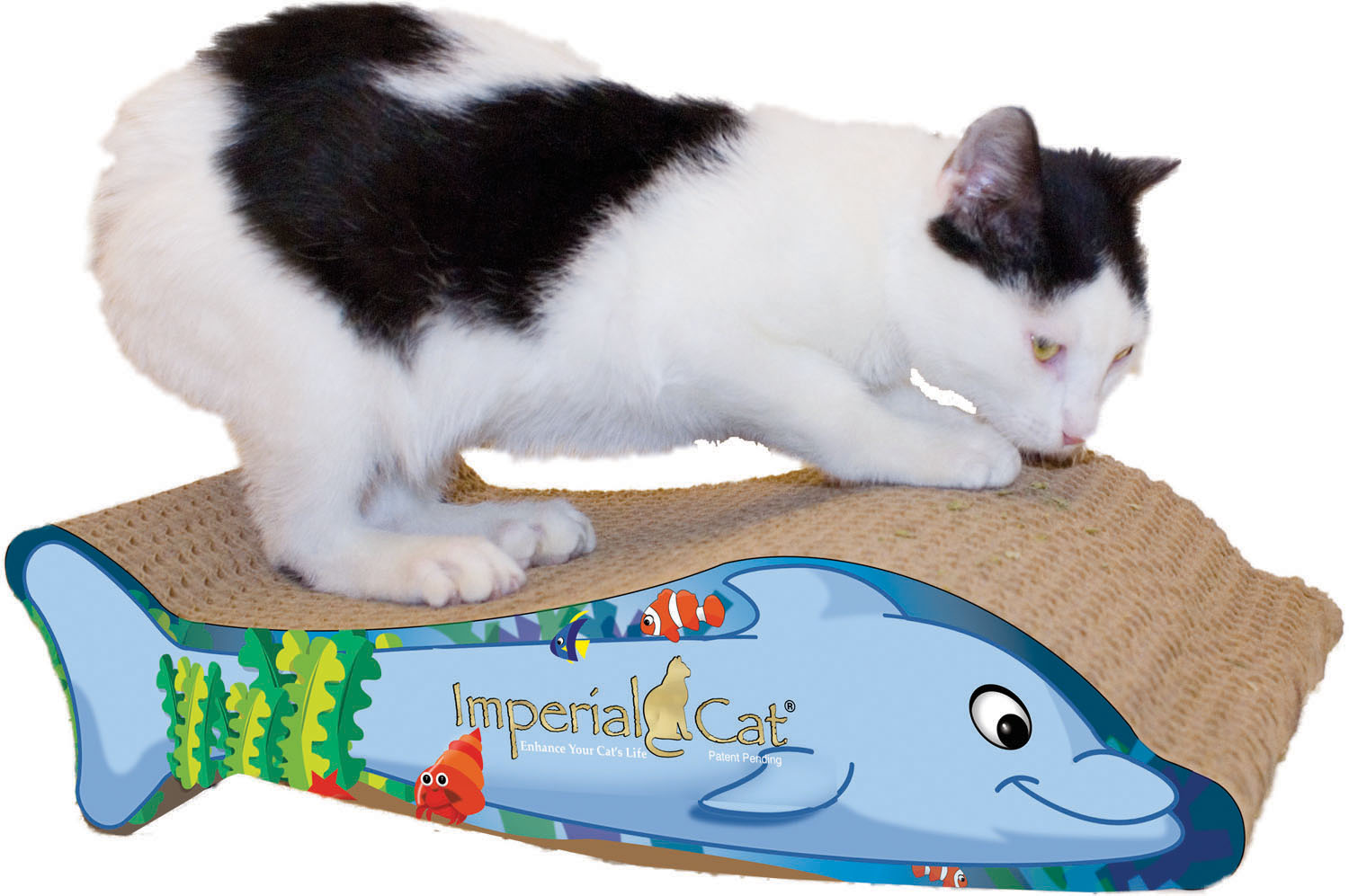 Imperial Cat flip